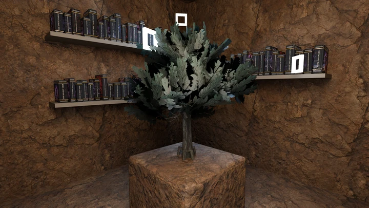 Inside the chamber: shelves of books on stone walls around a sapling on a plinth